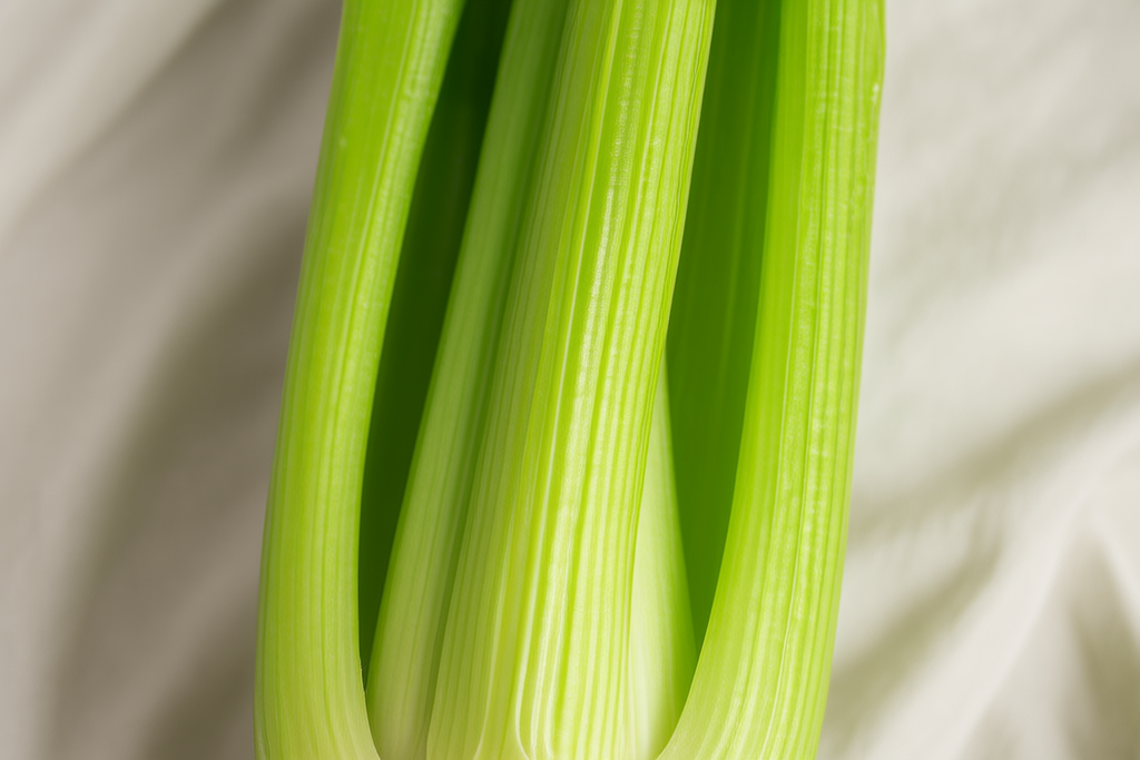 Celery Juice Weight Loss Ally?